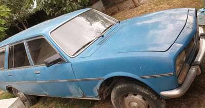 Peugeot 504
