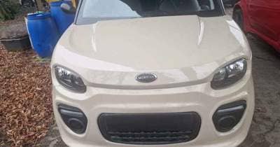 Microcar M.Go