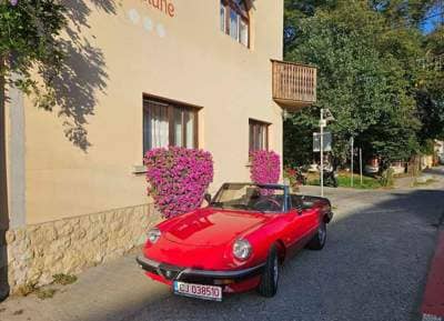 Alfa Romeo Spider